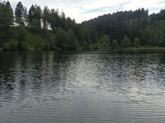 Nonnenmattweiher
