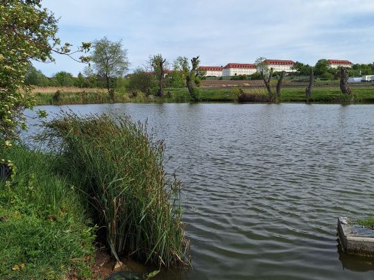 Unterer Henneteich-3