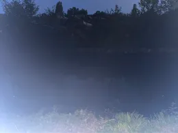 Radolfzeller Aach (Bohlingen)-1