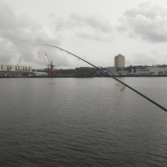 Kieler Hafen angeln