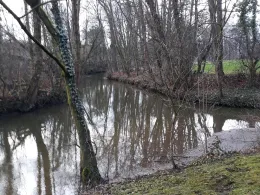 Oker (Wolfenbüttel)-4