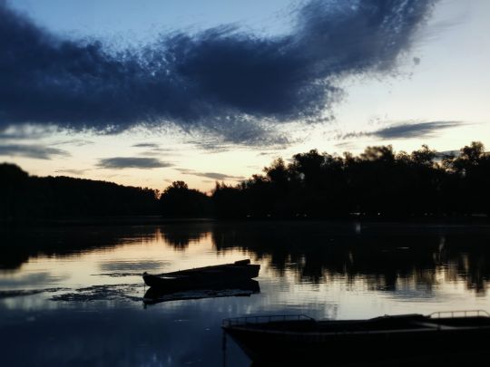 Otterstädter Altrhein-4