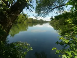 Otterstädter Altrhein-0