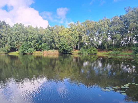 Teufelssee (Hamburg-Schnelsen)-3