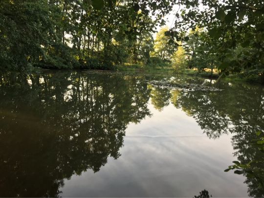 Dorfteich Reesdorf-1