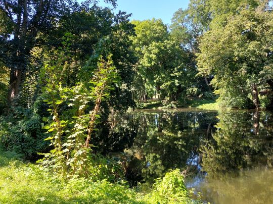 Parkteich Mahndorf-3