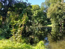 Parkteich Mahndorf-3