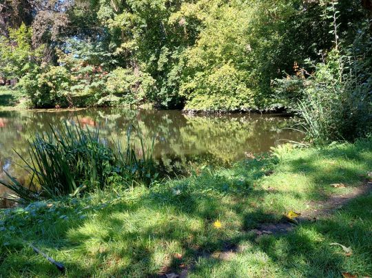 Parkteich Mahndorf-1