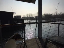 Rügischer Bodden (Lauterbach)-2