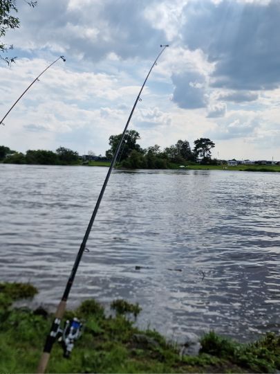Weser (Bollen)