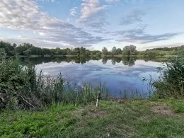 Schirnausee (Nützen)