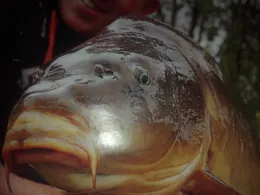 Egelsee (Höchstädt)-0