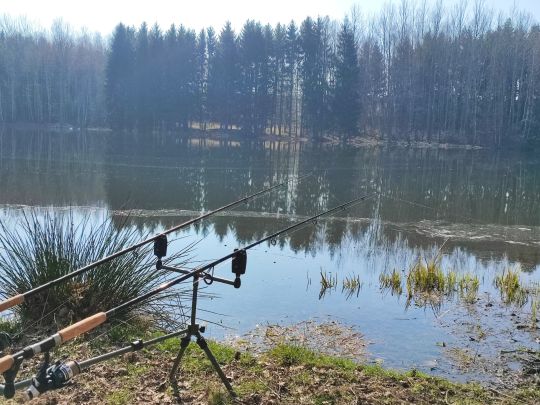 Eulenteich (Rodewisch)-4