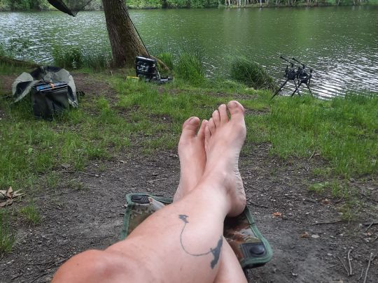 Eulenteich (Rodewisch)-2