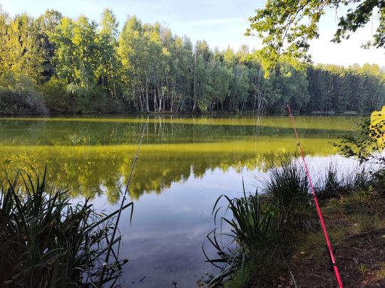 Eulenteich (Rodewisch)-1