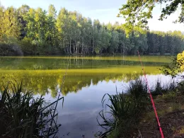 Eulenteich (Rodewisch)-1