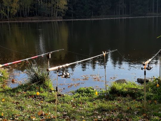 Eulenteich (Rodewisch) angeln