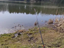 Eulenteich (Rodewisch)-3