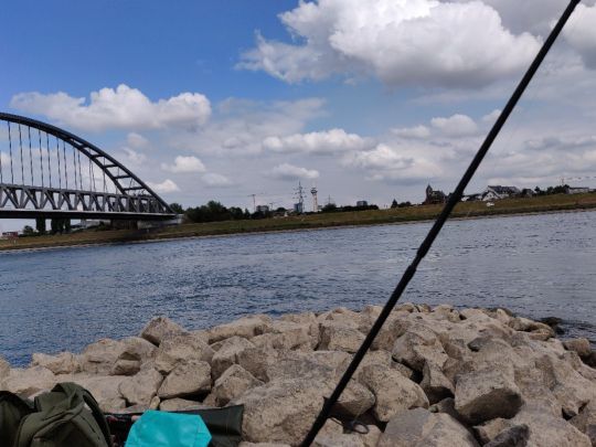 Rhein (Neuss)  ALLE ANGELN