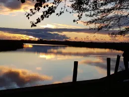 Treene (Schwabstedt)-2