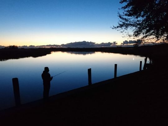 Treene (Schwabstedt)-3