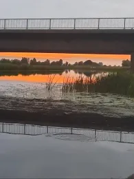 Treene (Schwabstedt)-4