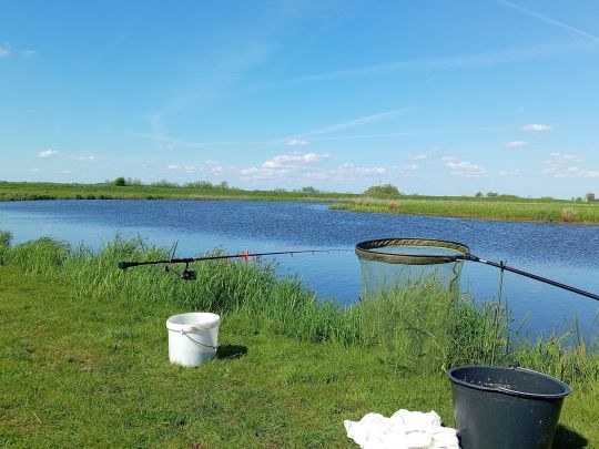 Treene (Schwabstedt)-1