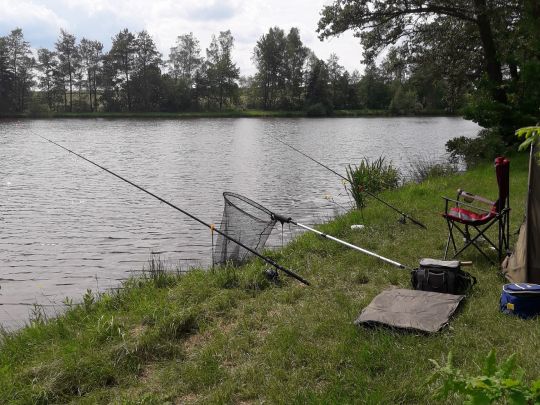 Herrenweiher (Kemnath)-2