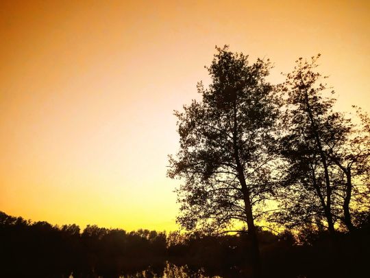 Hohenforster See-4