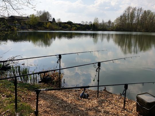 Hohenforster See angeln