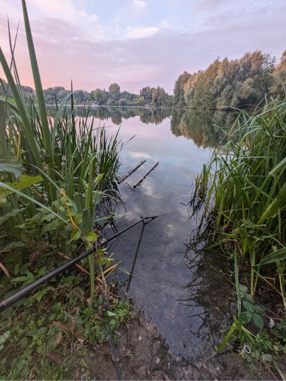 Hohenforster See-2