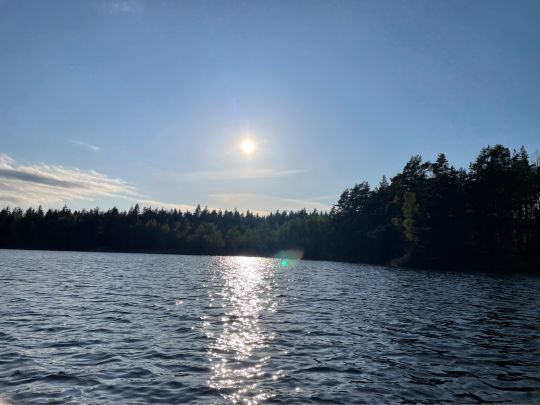Törn