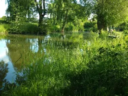 Toter Helmearm Roßla-2