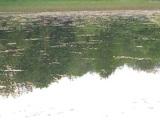 Oberer Zechenteich (Clausthal-Zellerfeld)-2