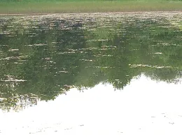 Oberer Zechenteich (Clausthal-Zellerfeld)-2