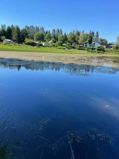 Oberer Zechenteich (Clausthal-Zellerfeld)