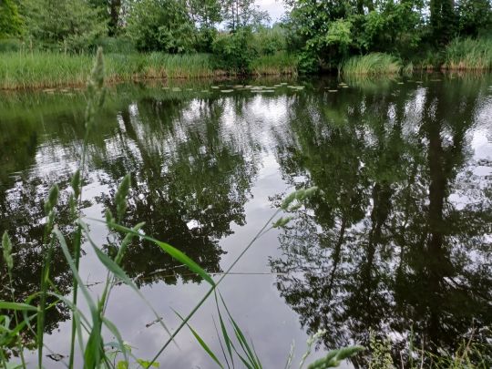 Langer Trödel (Zerpenschleuse)-2