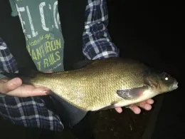 Langer Trödel (Zerpenschleuse)-1