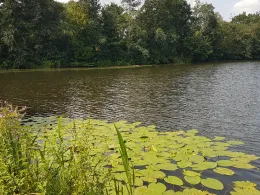 Bille (Hamburg-Billwerder)-4