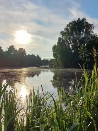 Bille (Hamburg-Billwerder)-3