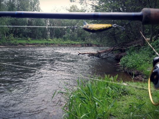 Rur (Oberbruch-Ratheim)-2