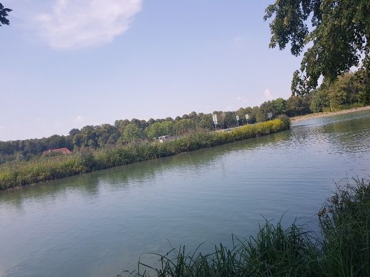 Dortmund-Ems-Kanal (Senden) angeln