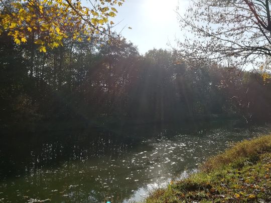 Große Braake (Brunsbüttel)-1