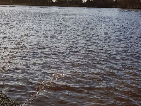 Große Braake (Brunsbüttel)-2