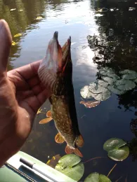 Löcknitz (Erkner)-4