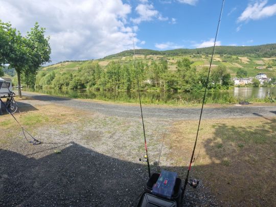 Mosel (Zell)-1