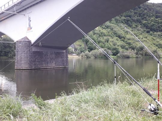 Mosel (Zell)-3