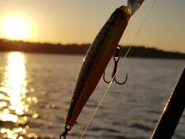 Küchensee (Ratzeburg)