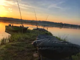 Oder (Stützkow/Criewen)-1