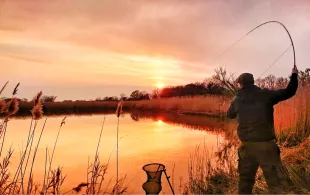 Oder (Stützkow/Criewen)